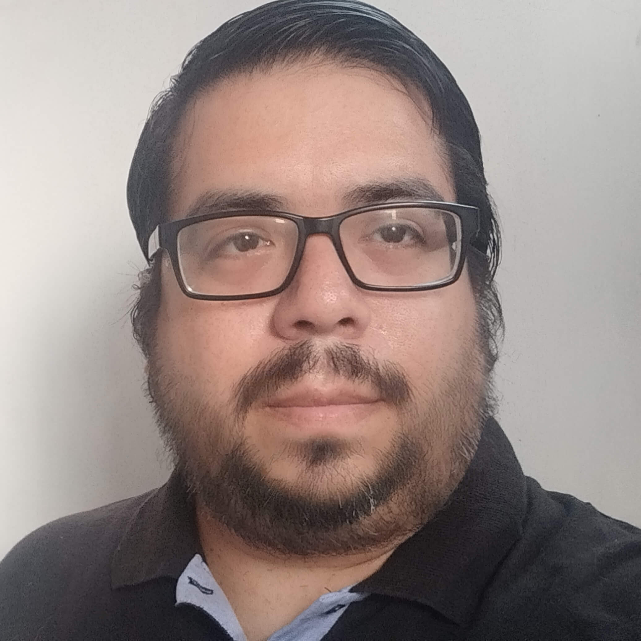 Lead Architect Profile